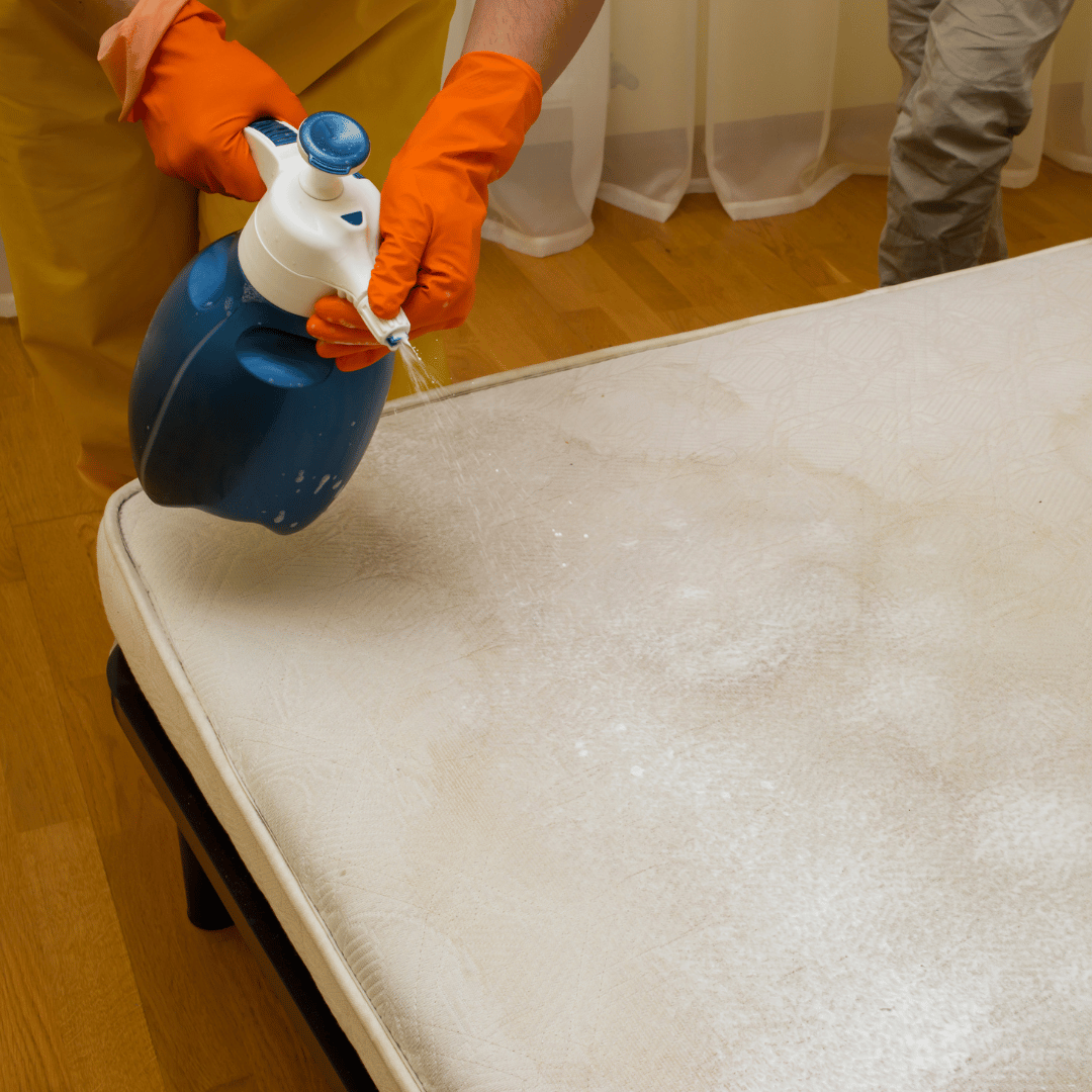 Cara Ampuh Hilangkan Bau Pesing Kasur Tanpa Perlu Dijemur!