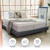 Kasur Pocket Luna Dream Latex HR 33cm