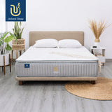 Model Dipan Springbed Panduan Memilih Ukuran & Harga Terbaik